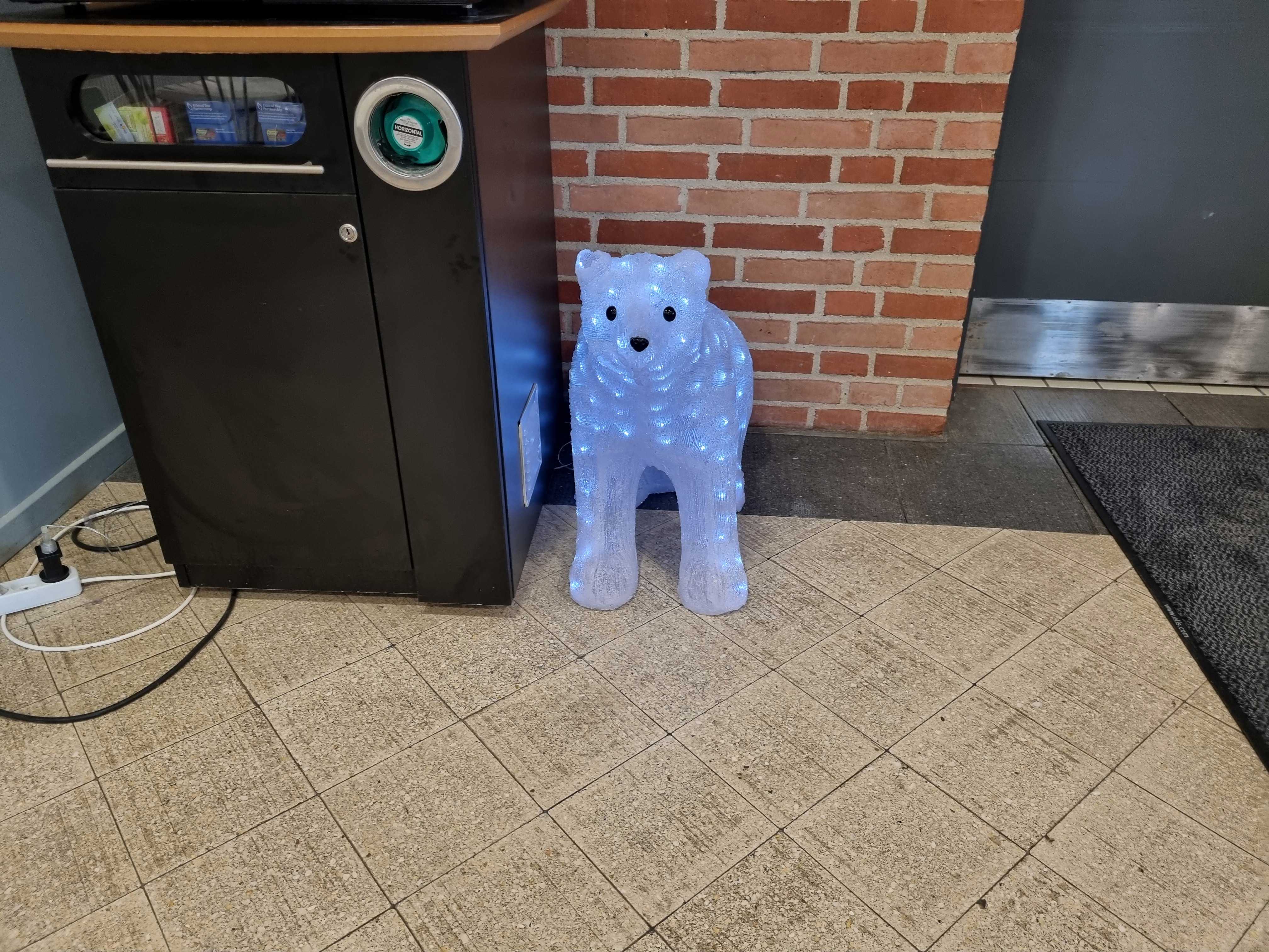 Illustration Isbjørn med lys udstilling